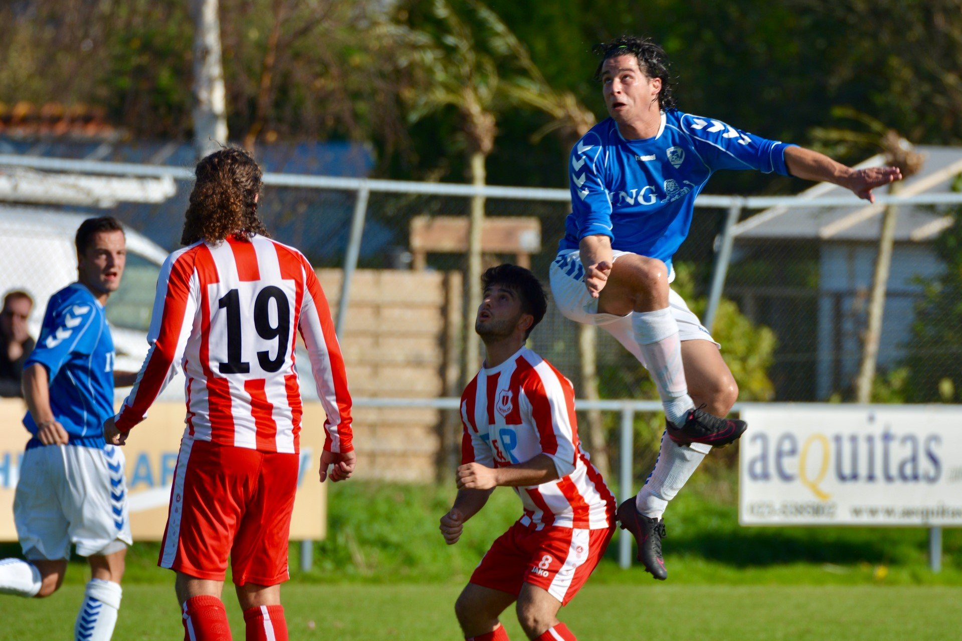 Terrasvogels-Waterloo-Voetbal-in-Haarlem
